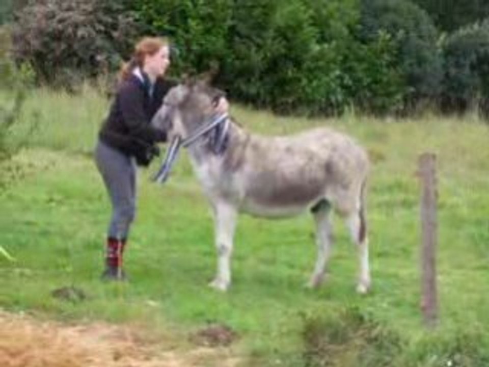 Mélo qui chasse le casimir