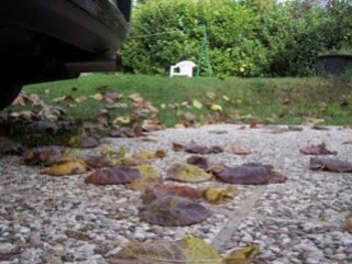 Sonorité échappement