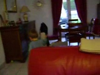 Tipaul qui ne sait pas quoi faire