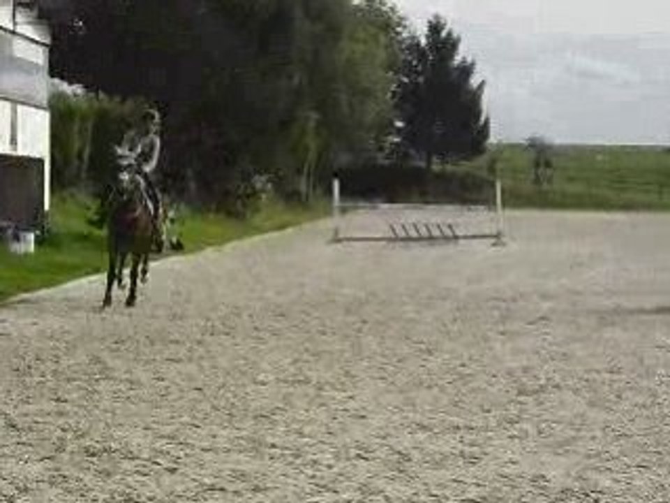 Next-des-Dames