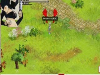 [allister] dofus : tit-ombre ark-insomniak