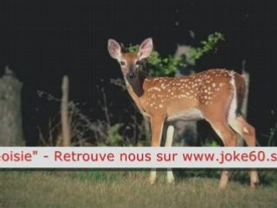 C'est beau la Bourgeoisie (parodie)