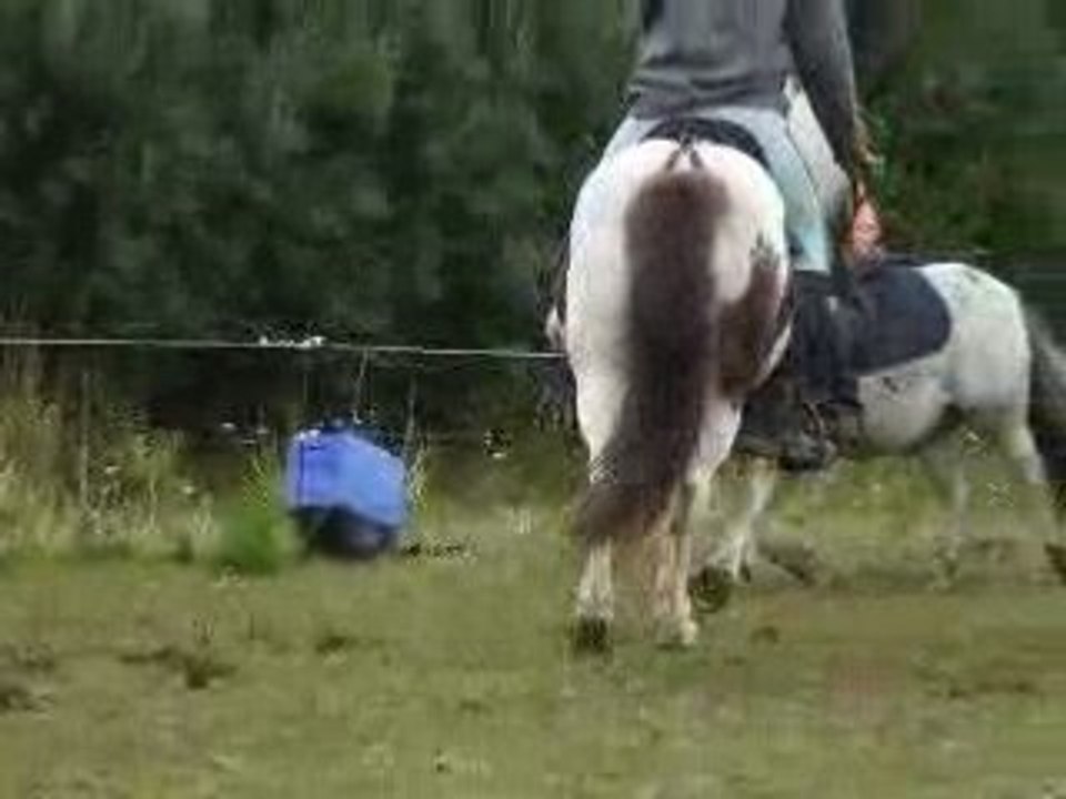 journée monte shet