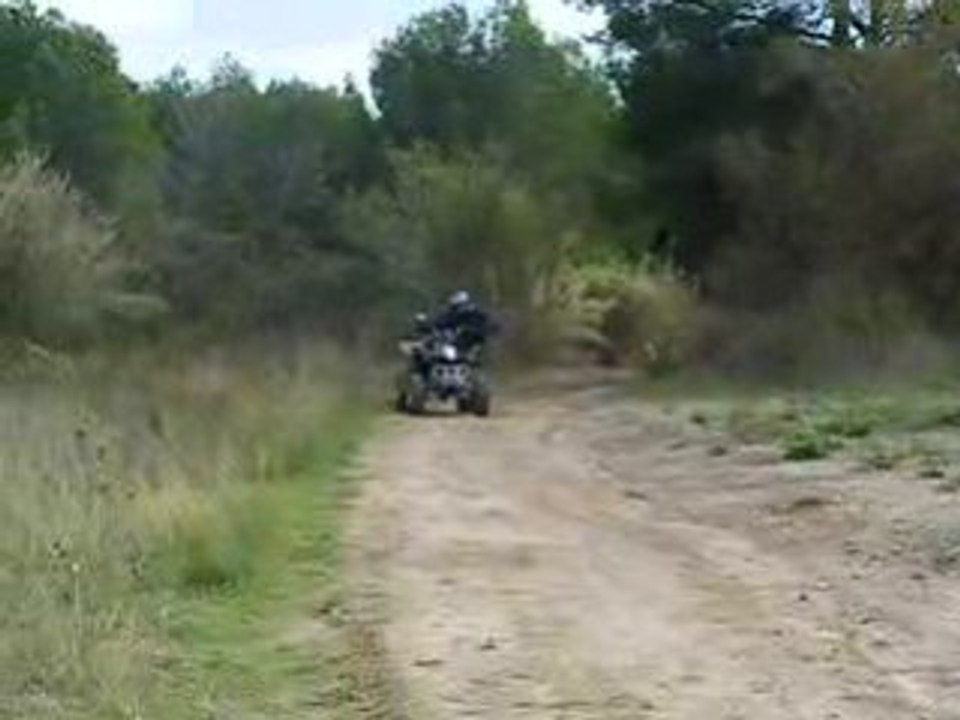 Photo 010