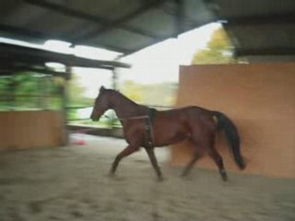Samedi 8 Novembre_0001