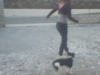 Choupa - Obérythmée - Automne 2oo8