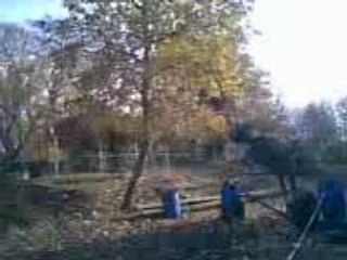 Maëlie en saut libre 4