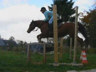 SAUT Okapi est de retour ...