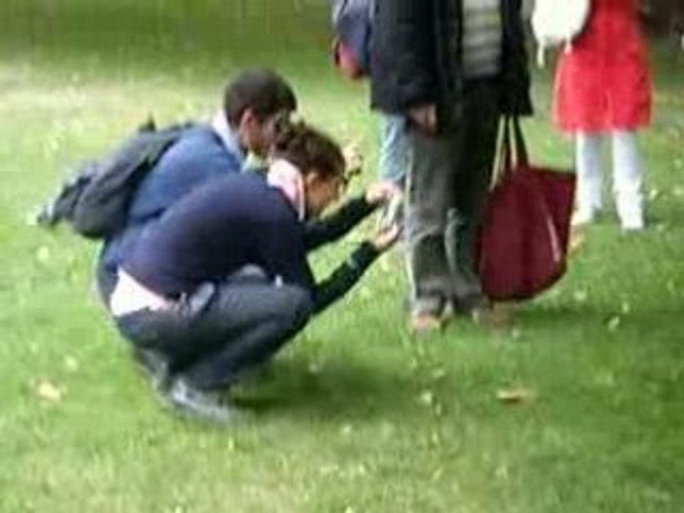 London - St James's Park - 25.08.08