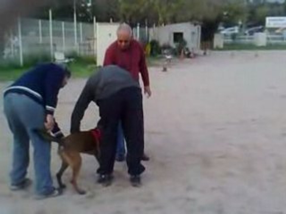 Sparkle 5 mois et demi Mordant