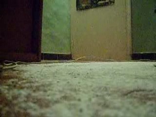 crash 306 maxi rallye monté carlo 2