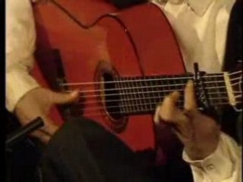 Pepe habichuela por bulerias