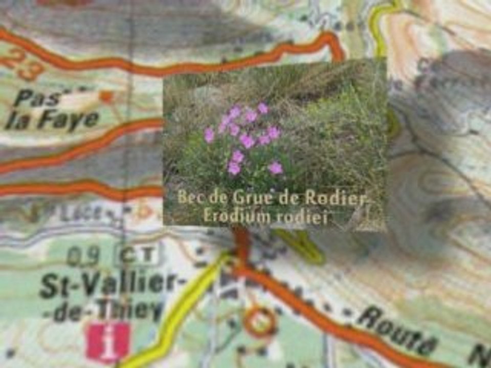 Eau Durable - Natura 2000 Gorges de la Siagne