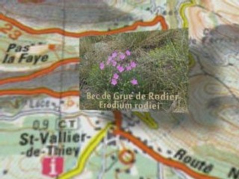 Eau Durable - Natura 2000 Gorges de la Siagne