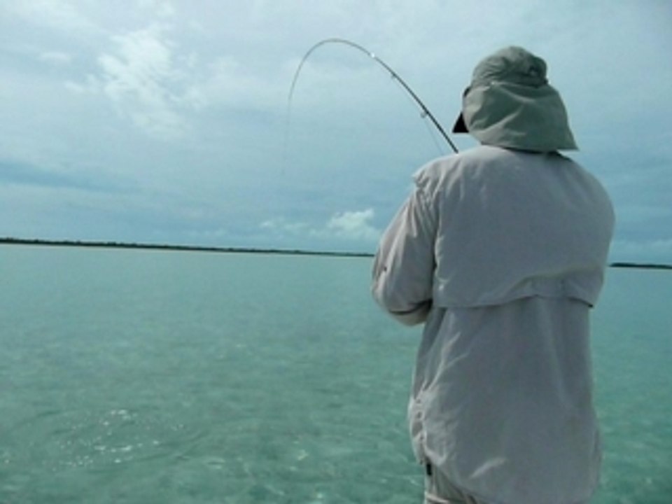 Fin du combat avec un joli bonefish de 5 livres