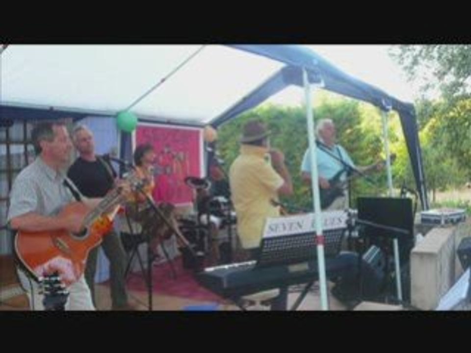 Ces idées là Louis Bertignac cover by Seven-Blues
