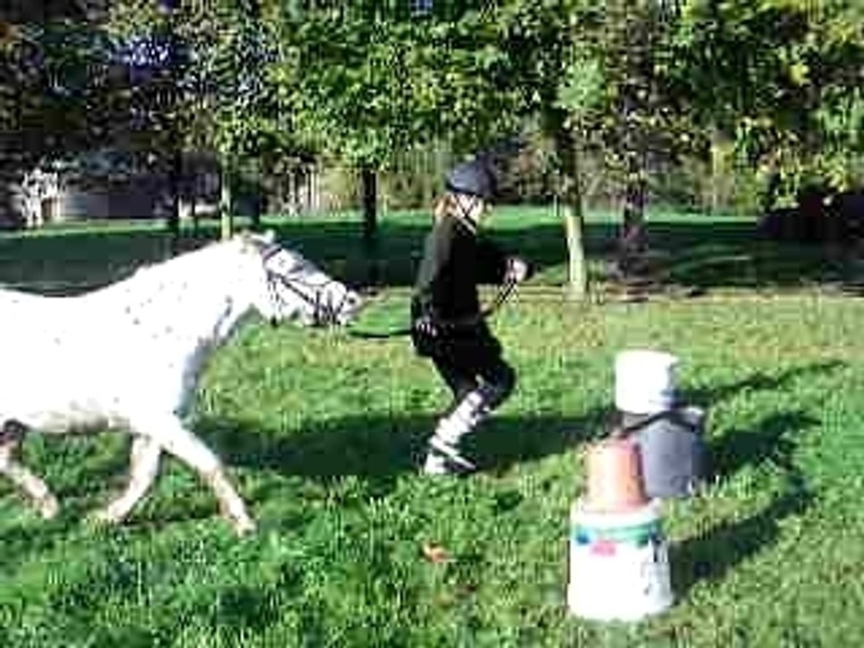 IMGP3385