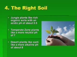 Container Gardening Tips : The 7 Step Process to Success