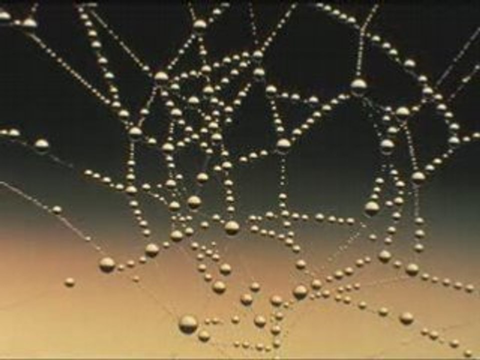 Anne Sylvestre - le centre du motif