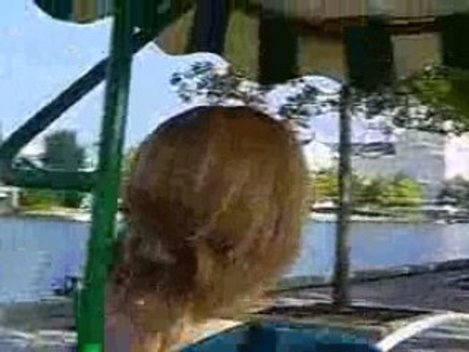 CLIP0003