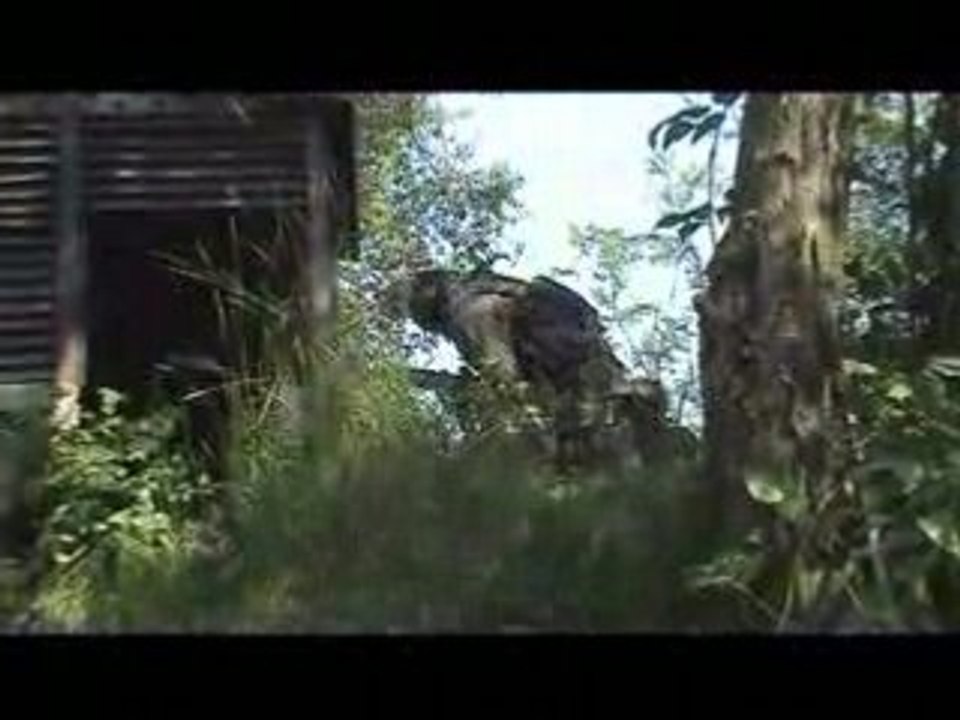 Partie Airsoft a Montavie 22 Juin 08