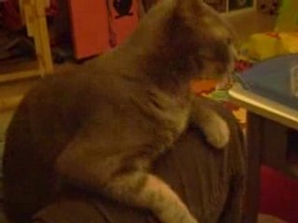 Obi wan en plein tremblement de terre