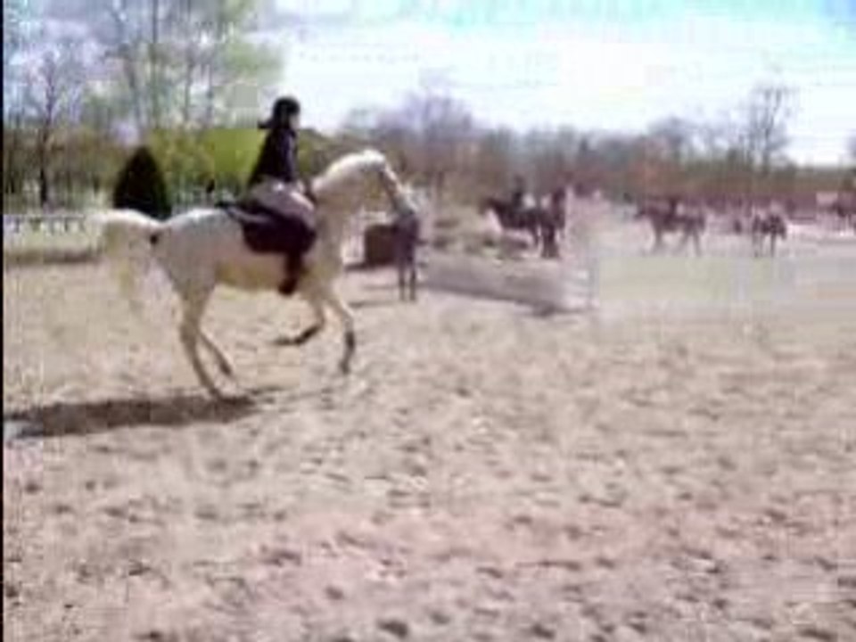 Saut avec Enzo Avril 2008