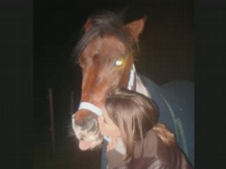 Cheyenne et moi