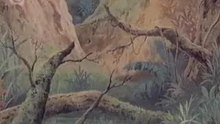 Dschungelbuch Die Serie Intro