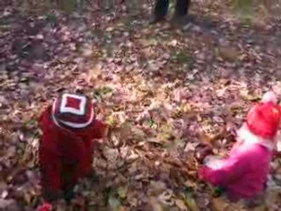 Vive les feuilles!