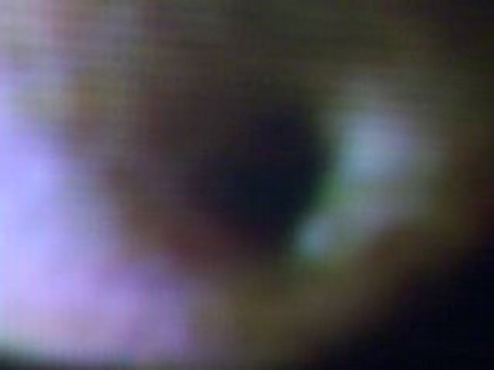 Paula Abdul's Belly Button