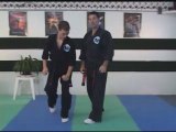 Kenpo Set Karate - Fans Deflect and Direct.