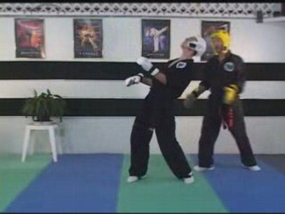 Sport Karate  Ridge Hand Blitz