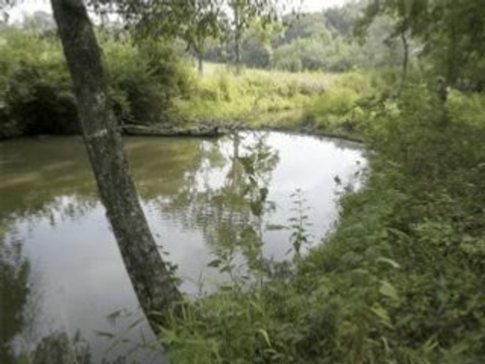 North Georgia Land For Sale