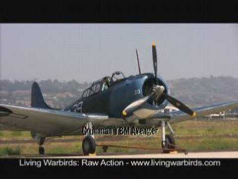 Grumman TBM Avenger - Living Warbirds: Raw Action