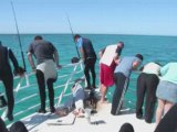 Abrolhos Islands Fishing Boat Cruises