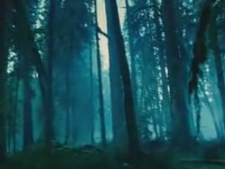 Twilight Scene - Bella & Edward in the Forest