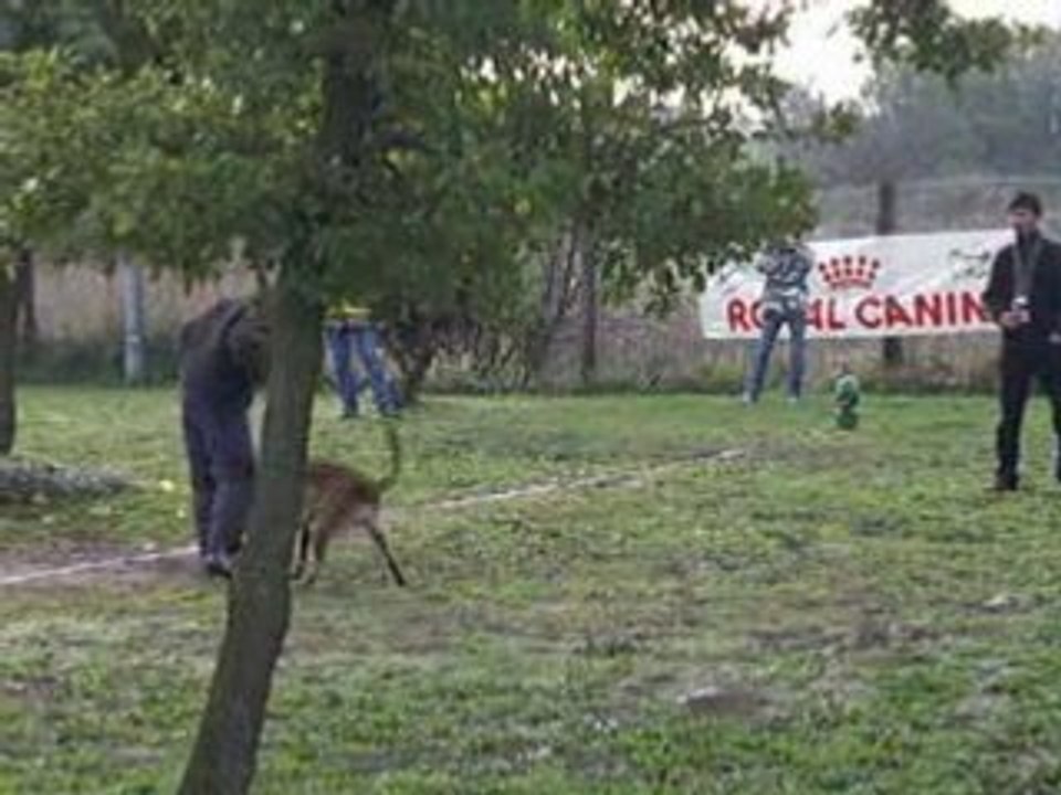 Boomer, défense du maitre