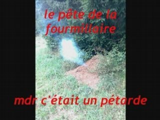 daniel dolci alias 28