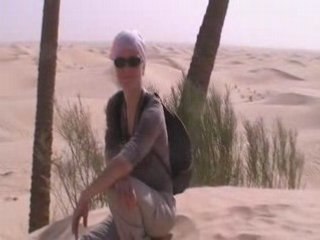 aux 14 - 2 palmiers!