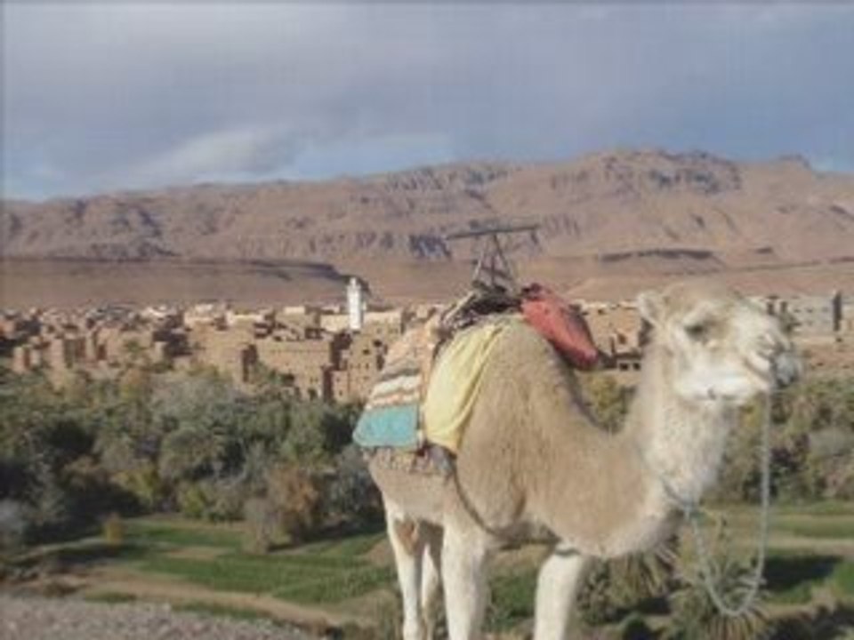 Maroc desert