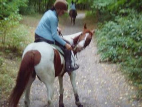 Souvenir juillet au centre equestre du marais