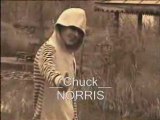 Parodie Chuck Norris