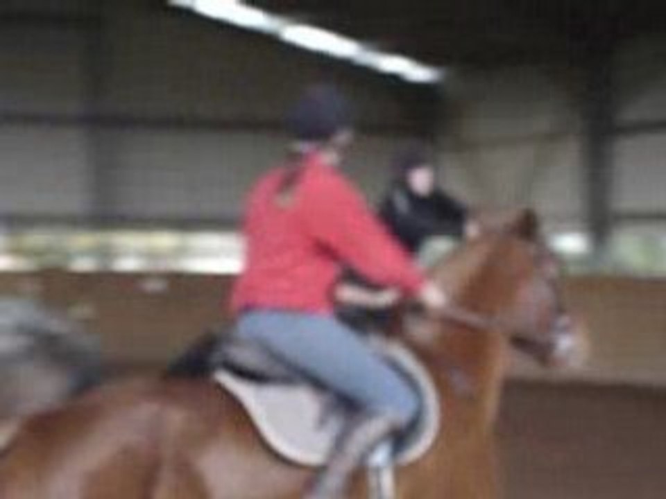 Horse ball 3