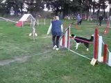 Eden en agility