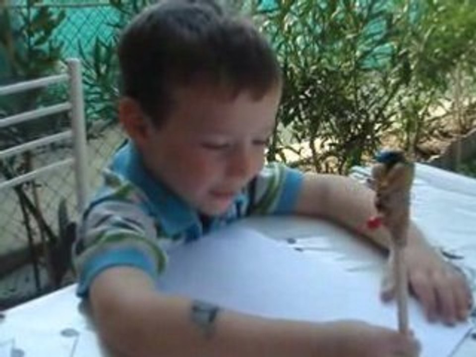 C'est Crapouillette