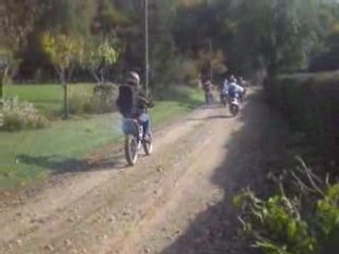 Capturées 2008-10-12 00032