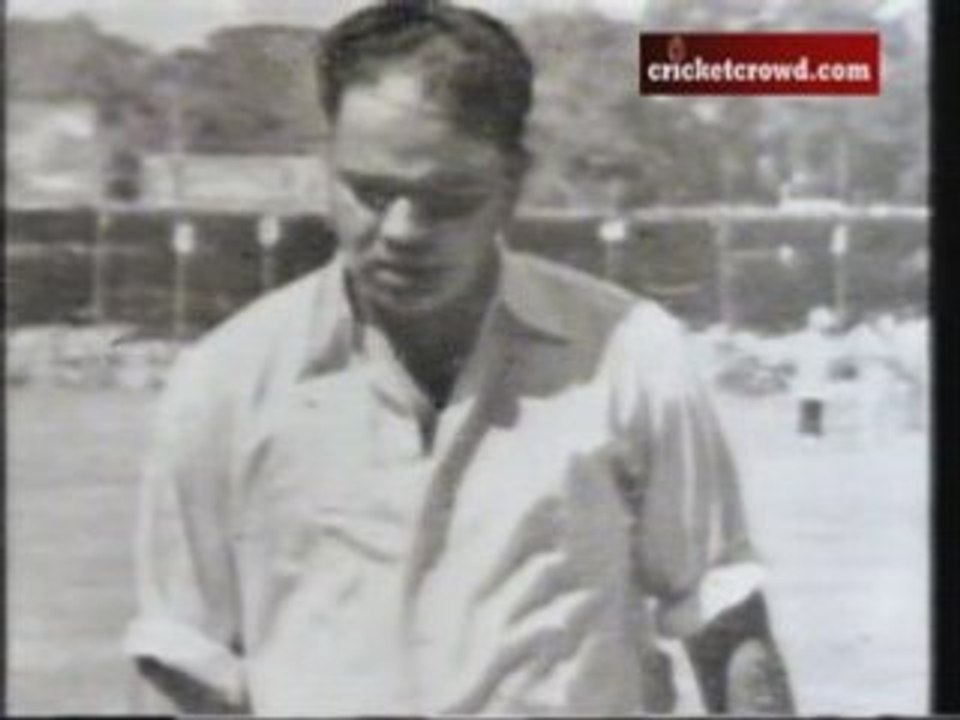 Classic Ind Bats
