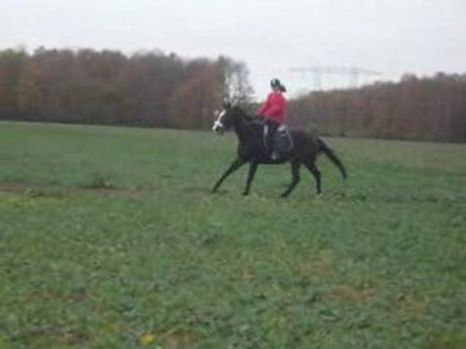 detente cheval 'fou'