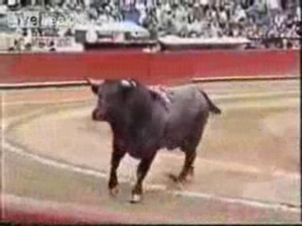 [-18] Le meilleur des vidéos du net